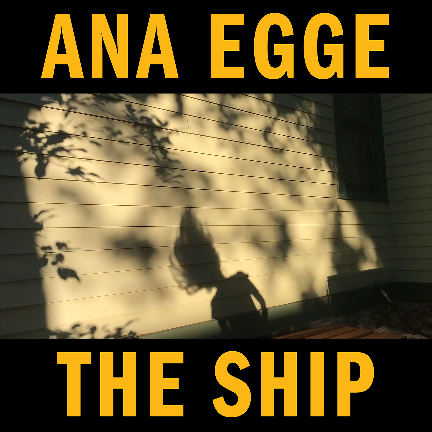 The Ship cover